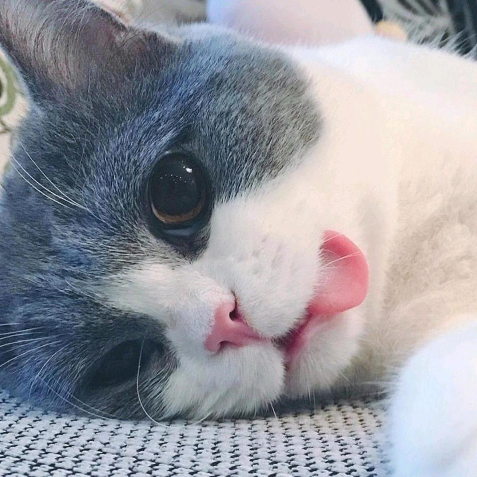 小小小水汐