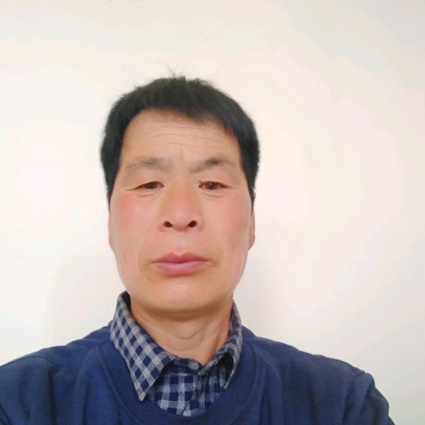 刘凤