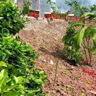 平安一生，无声的沉默