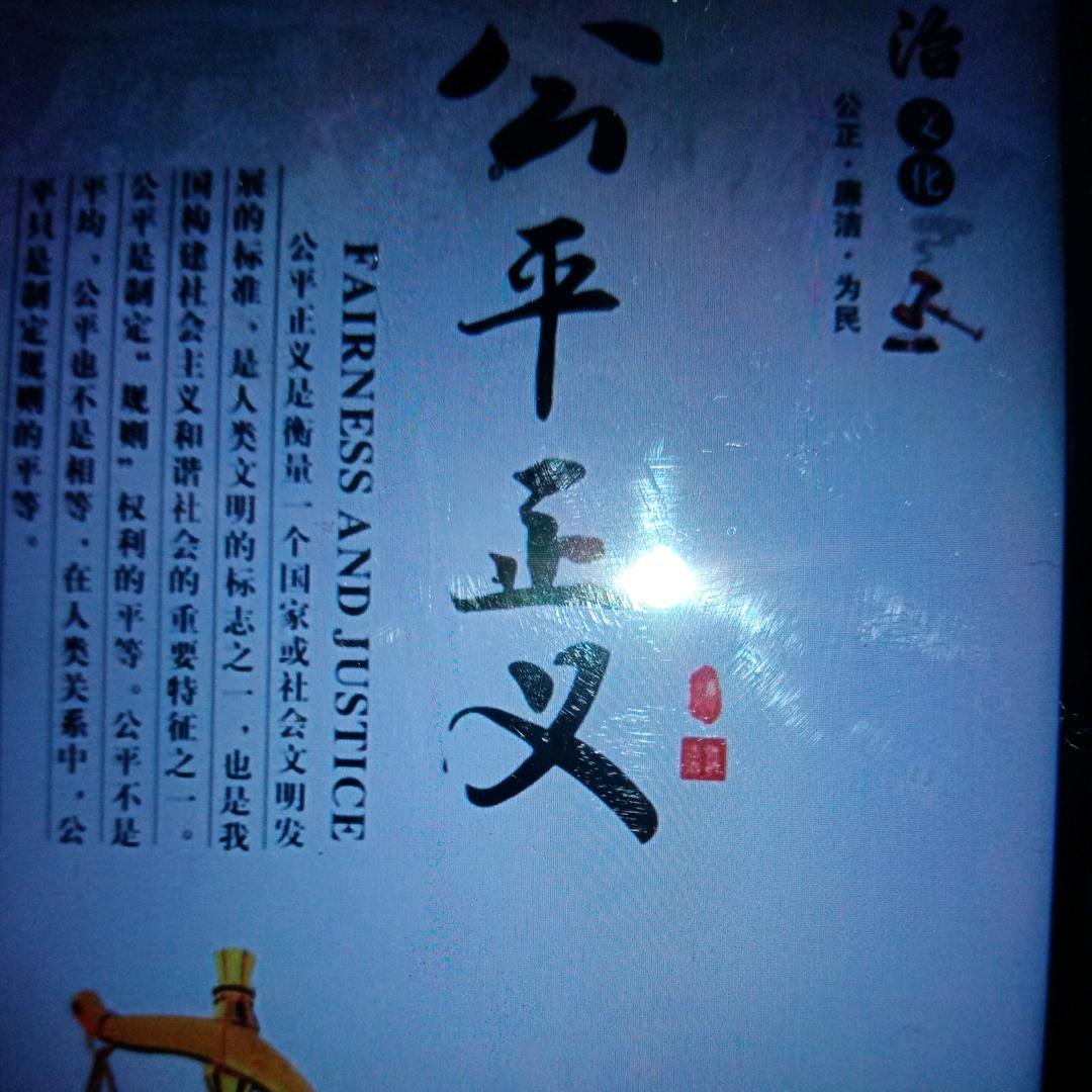 支持正义