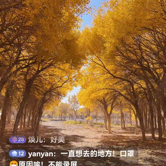 可儿620175319404