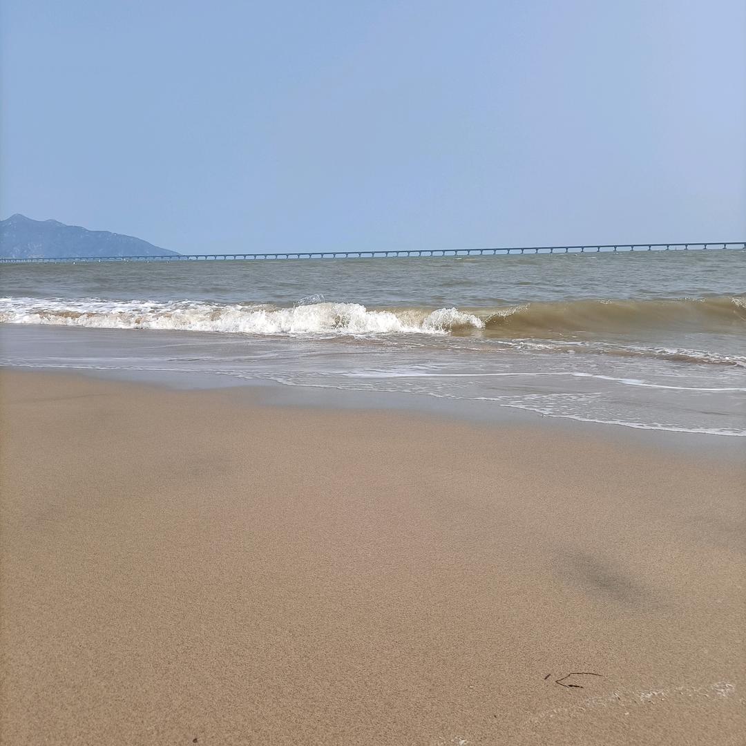 @海✧ ◔.̮◔