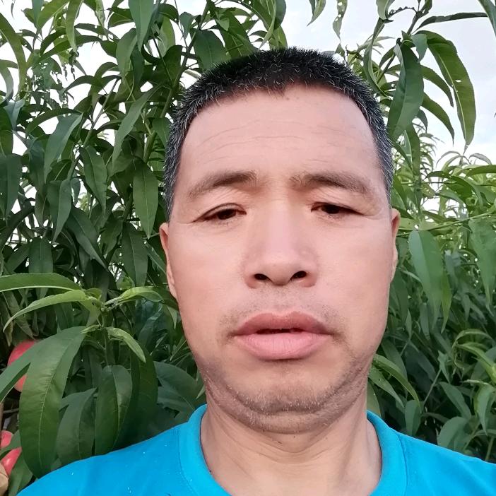 夏天的风（大张寨）
