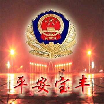 平安宝丰