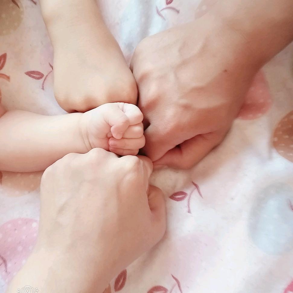 琴🎀