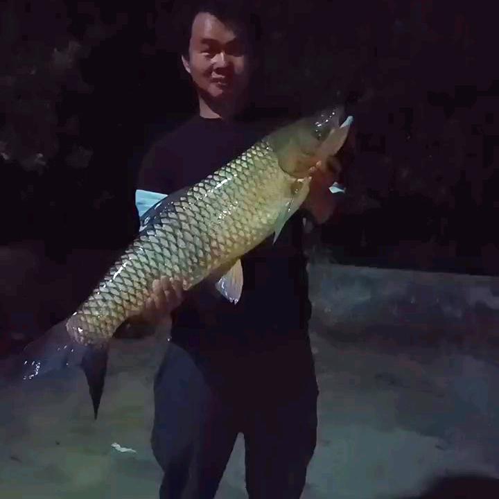 钓鱼🌈爱好者