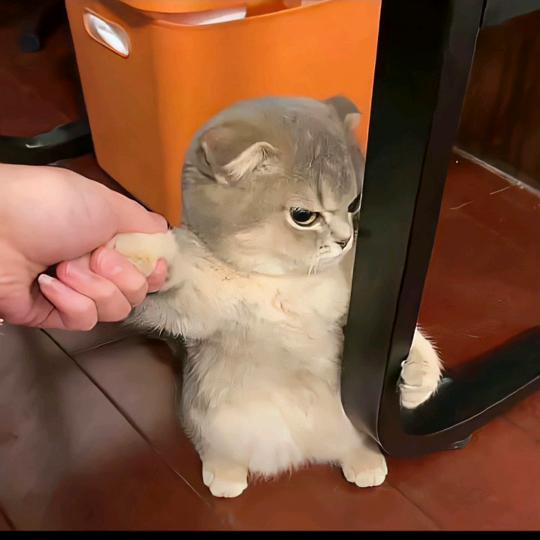 柒捌玖