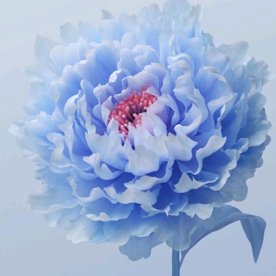 ♥怀旧音乐♥
