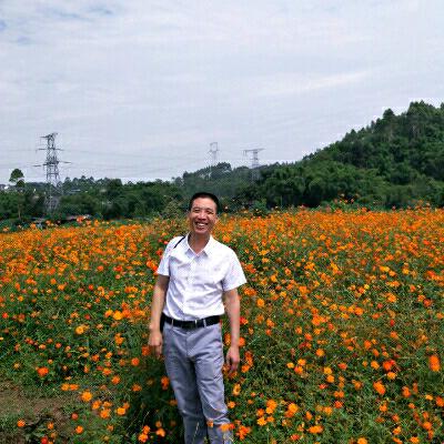 风车车