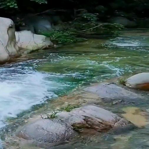 🌹❤️🌷🍒💐🌺🍎开心每一天