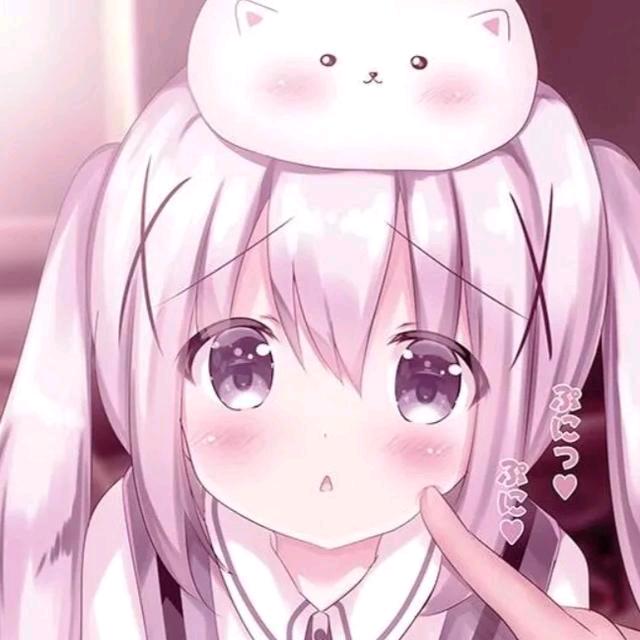 又夏学姐