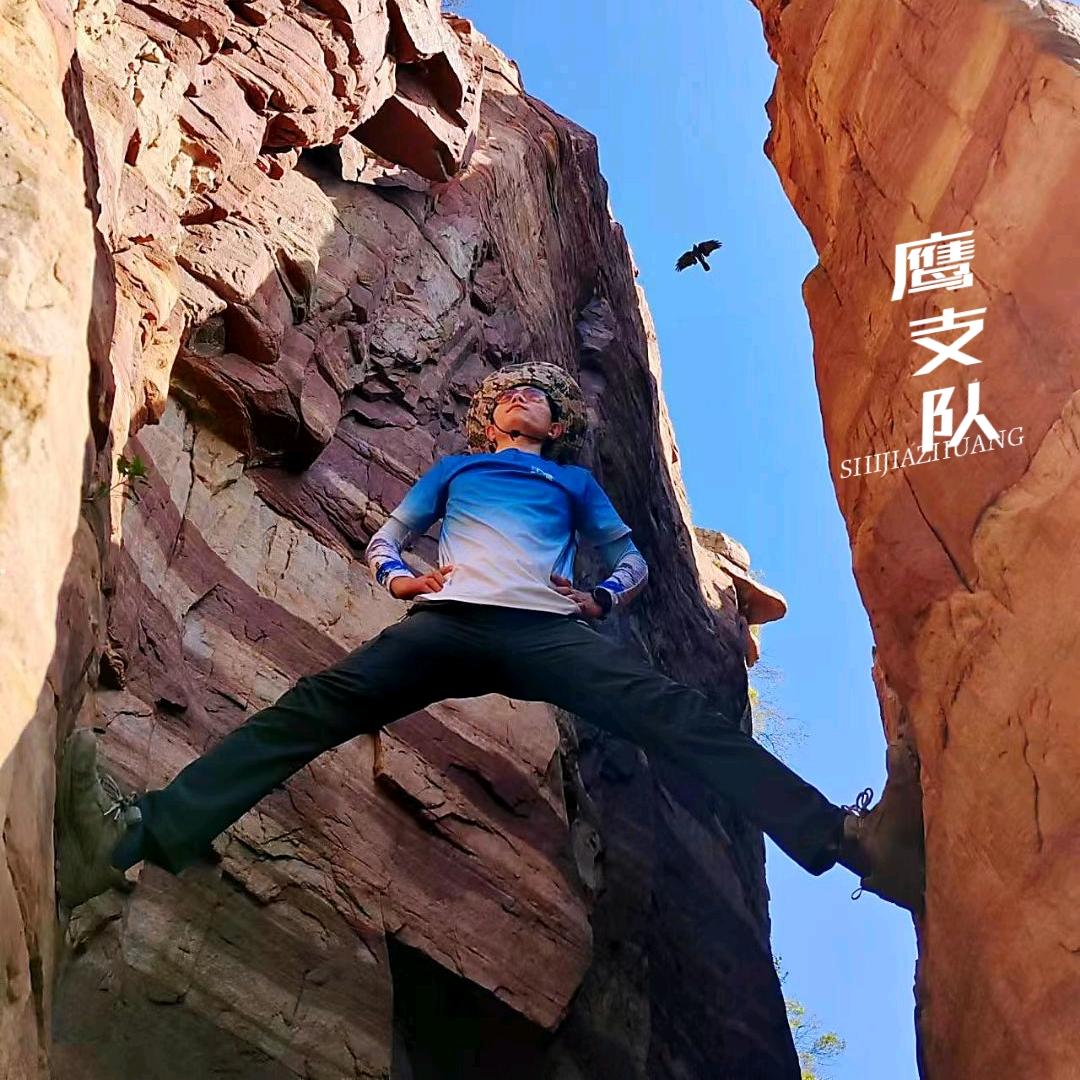 凌云飞