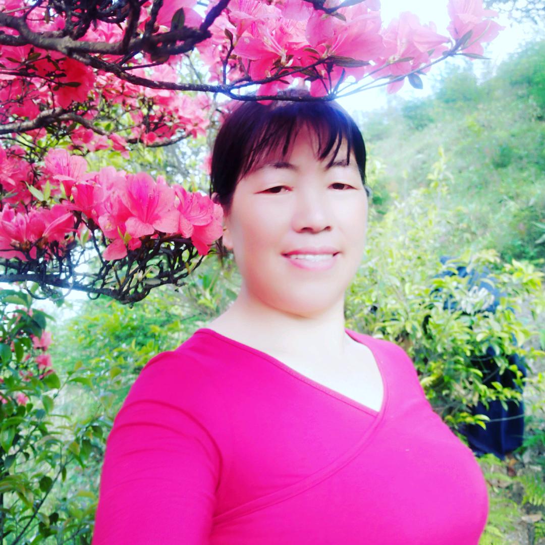 田姐的日常生活