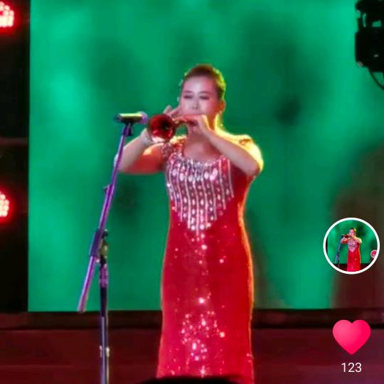 申晓菲唢呐演艺传媒