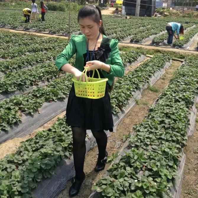 丽丽（