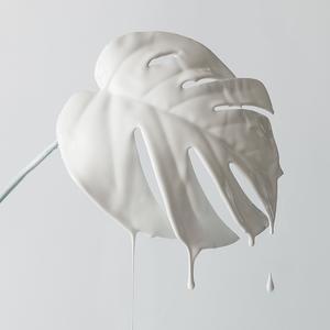 丰富布雷特6L