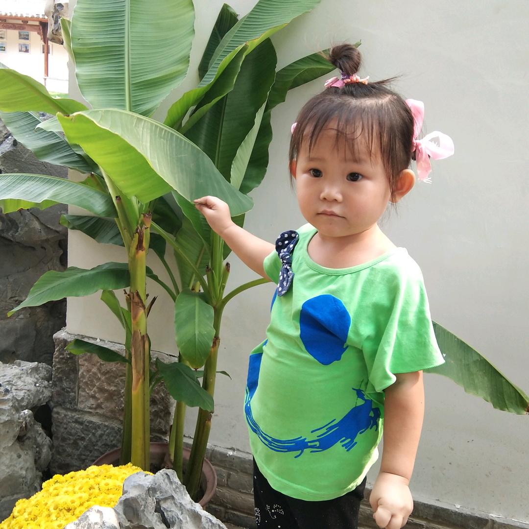 豆豆