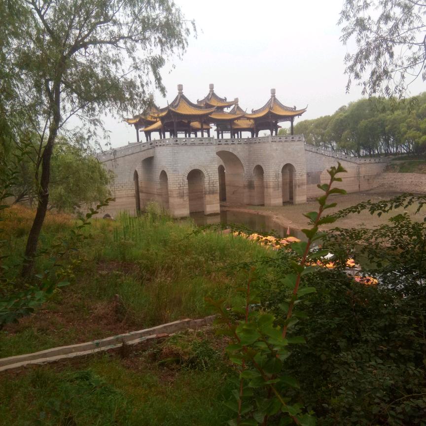 庭呈瑞彩