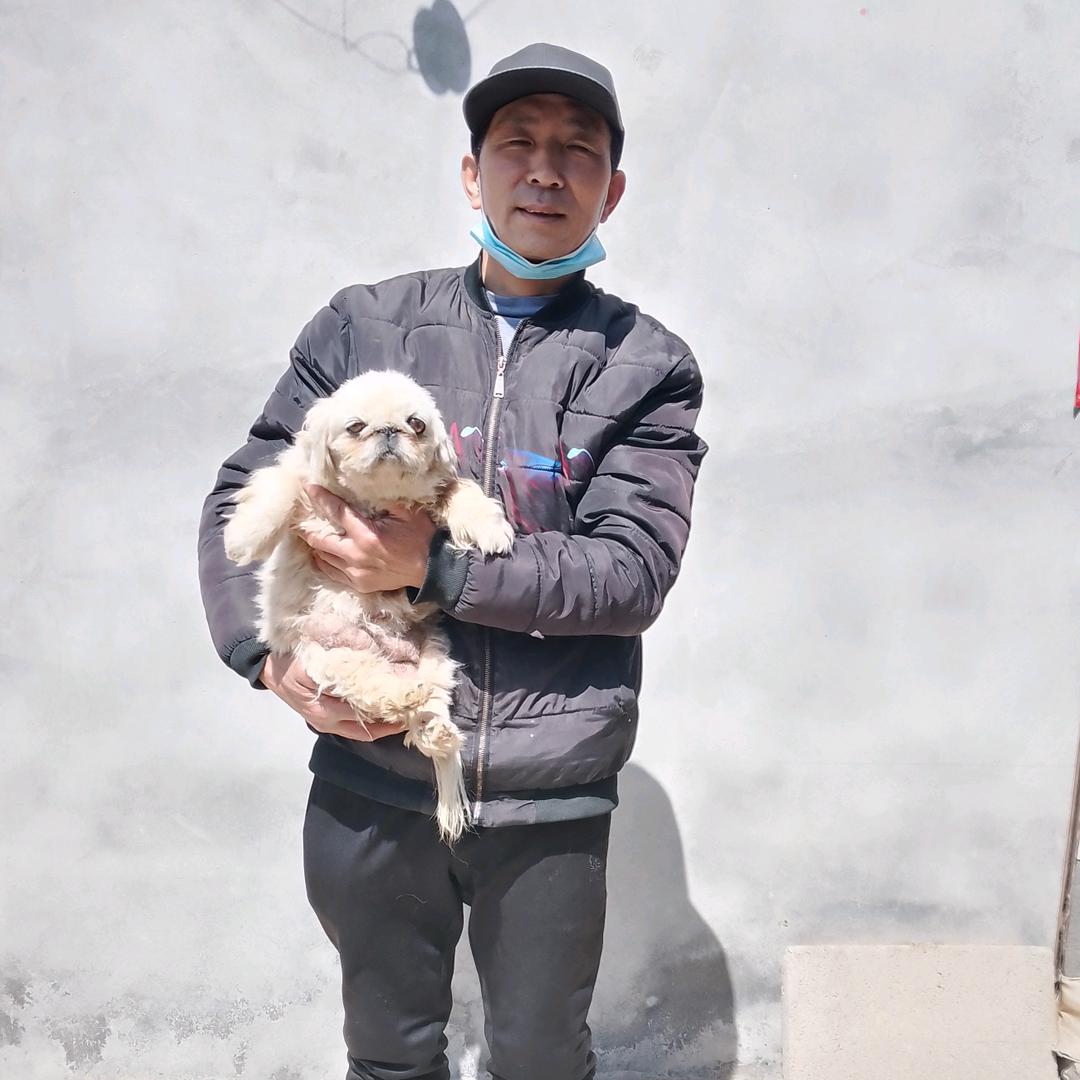 鹰叭犬舍