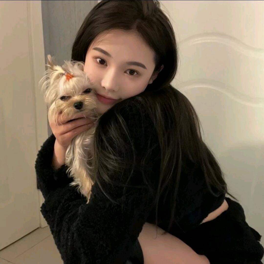 🐯🐯