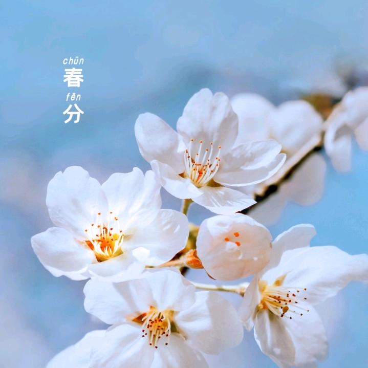卖车小阿姨
