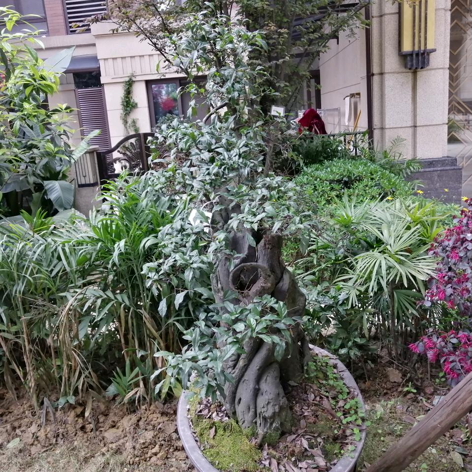 李伟