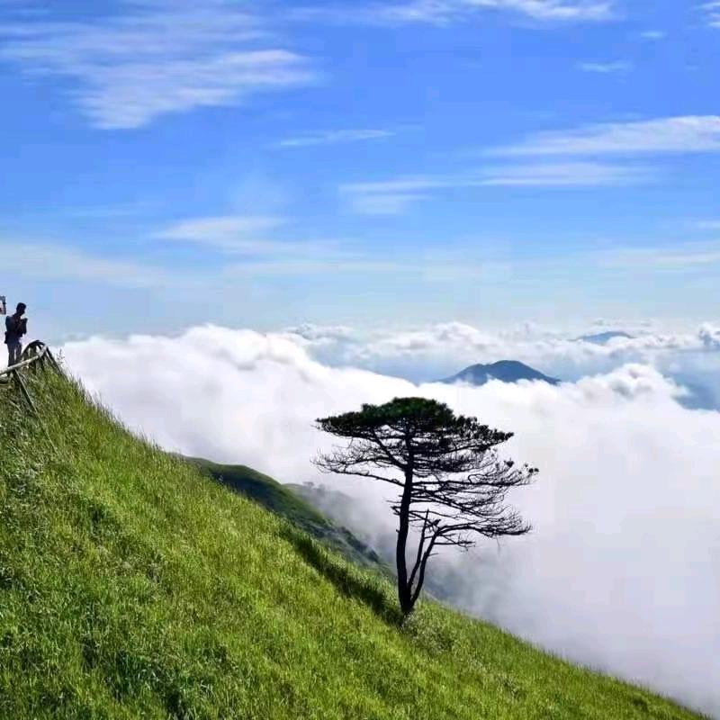 威峰