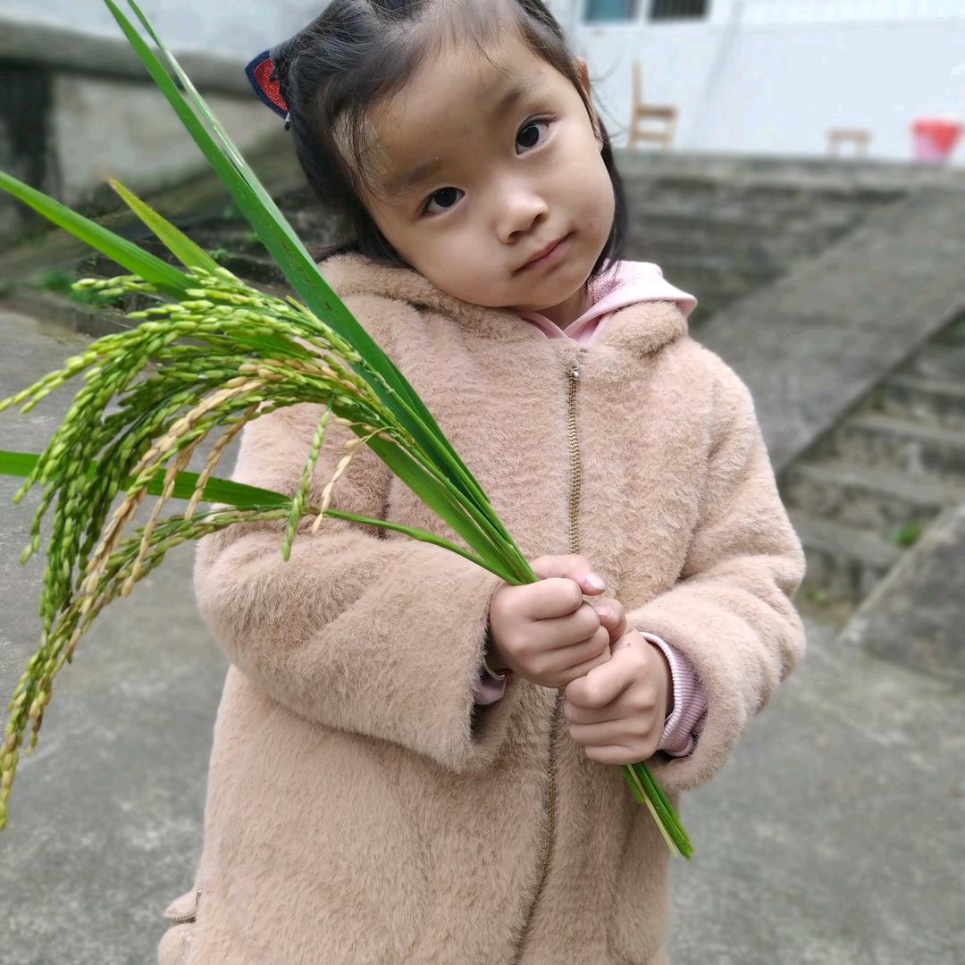 叶家三姐