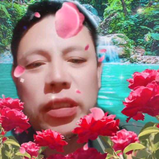 北月很菜