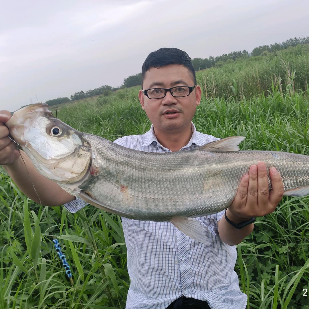 程军