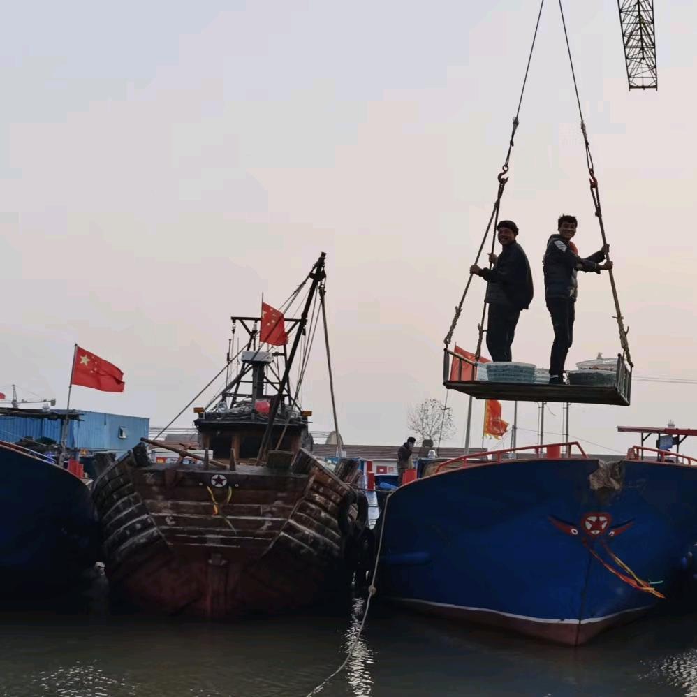怎么办8