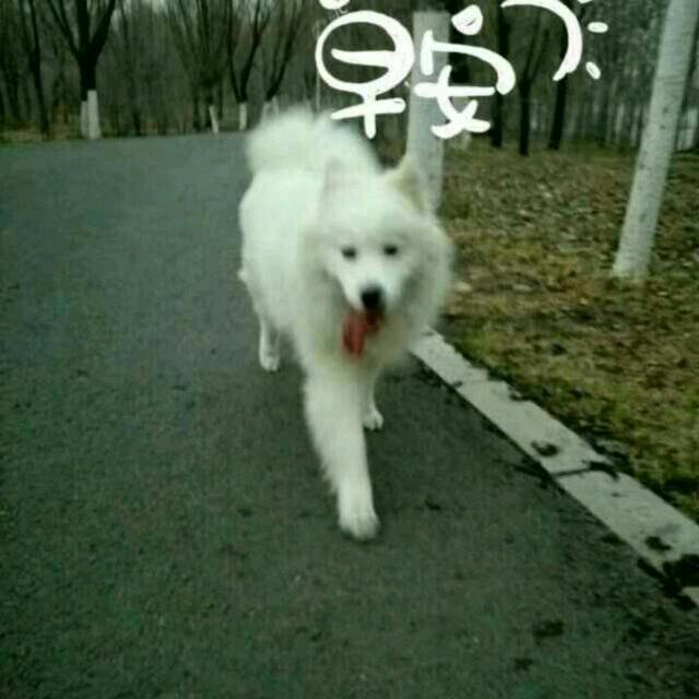 萧然