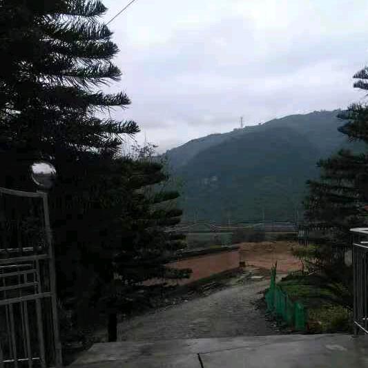 游子
