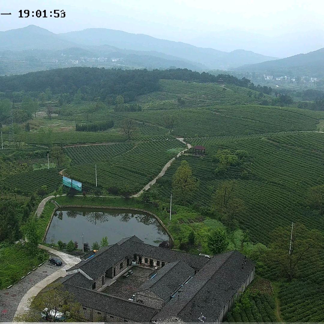 云山茶场曹高峰