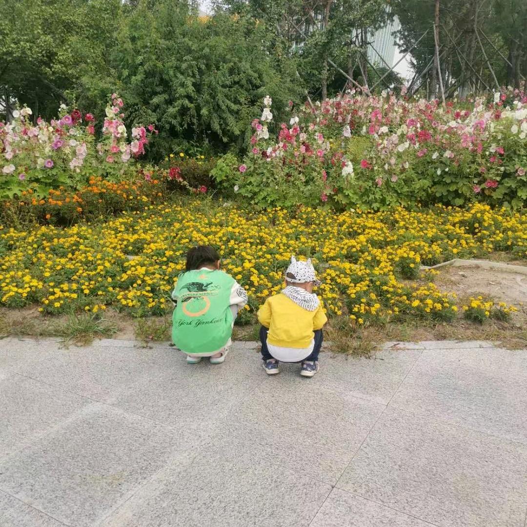 南风知意