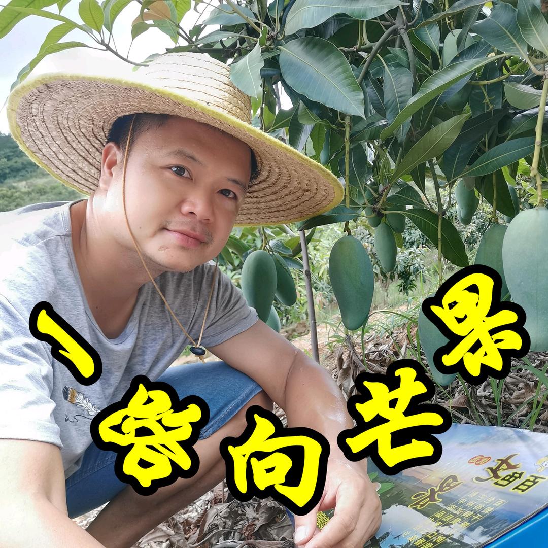 一路向芒果