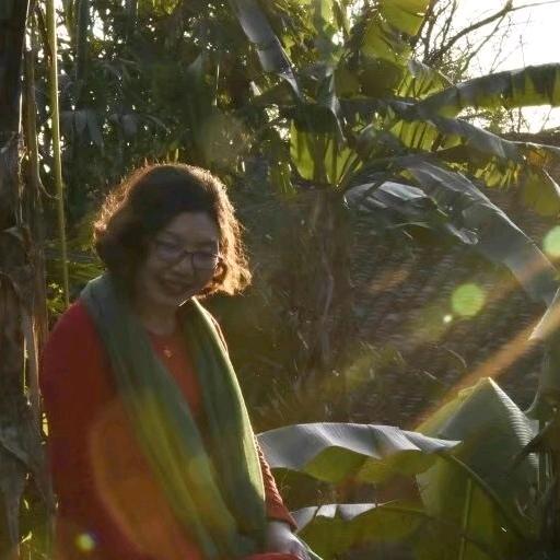 清风明月明