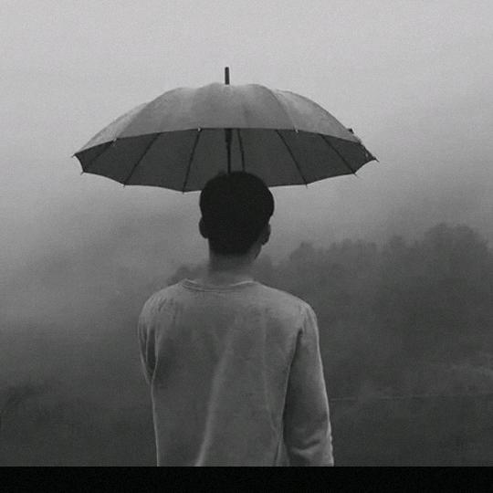 鑫鑫歌曲