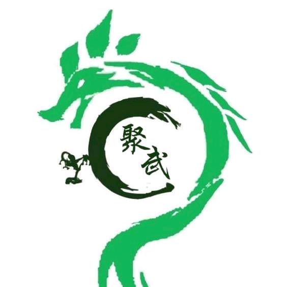 六安市德艺聚武体育培训有限公司