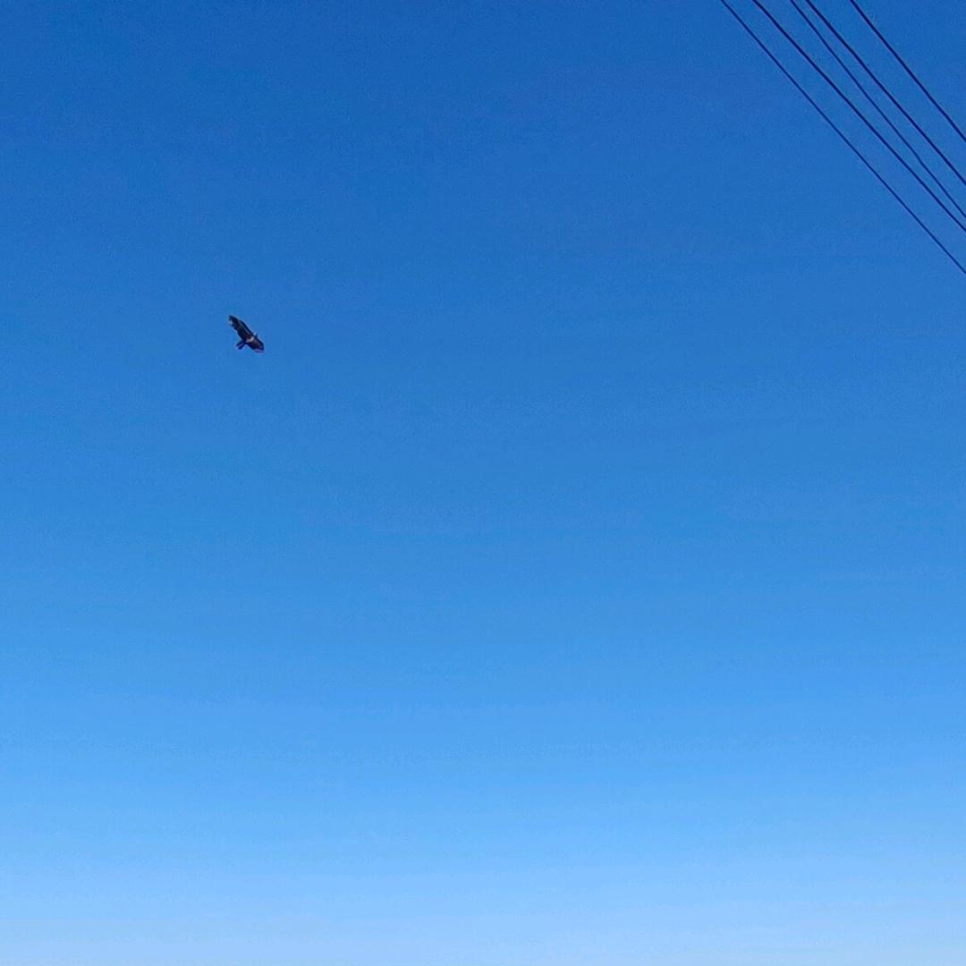 王较痩