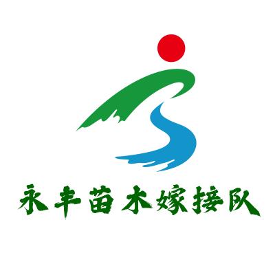 山东永葆丰苗木嫁接团队—王松