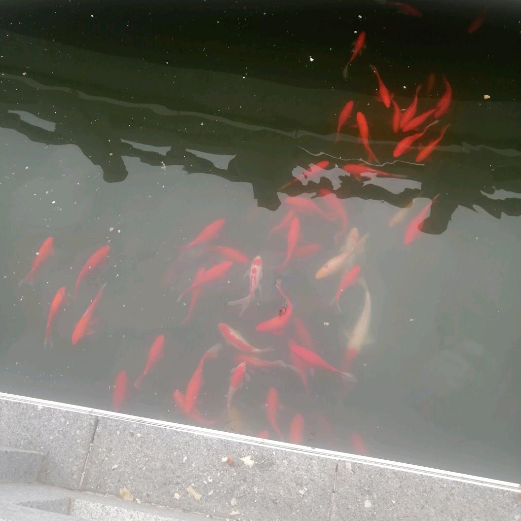 风平浪静
