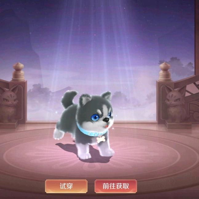 小小杰