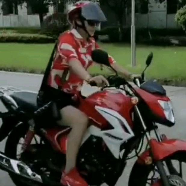 快乐燕子。