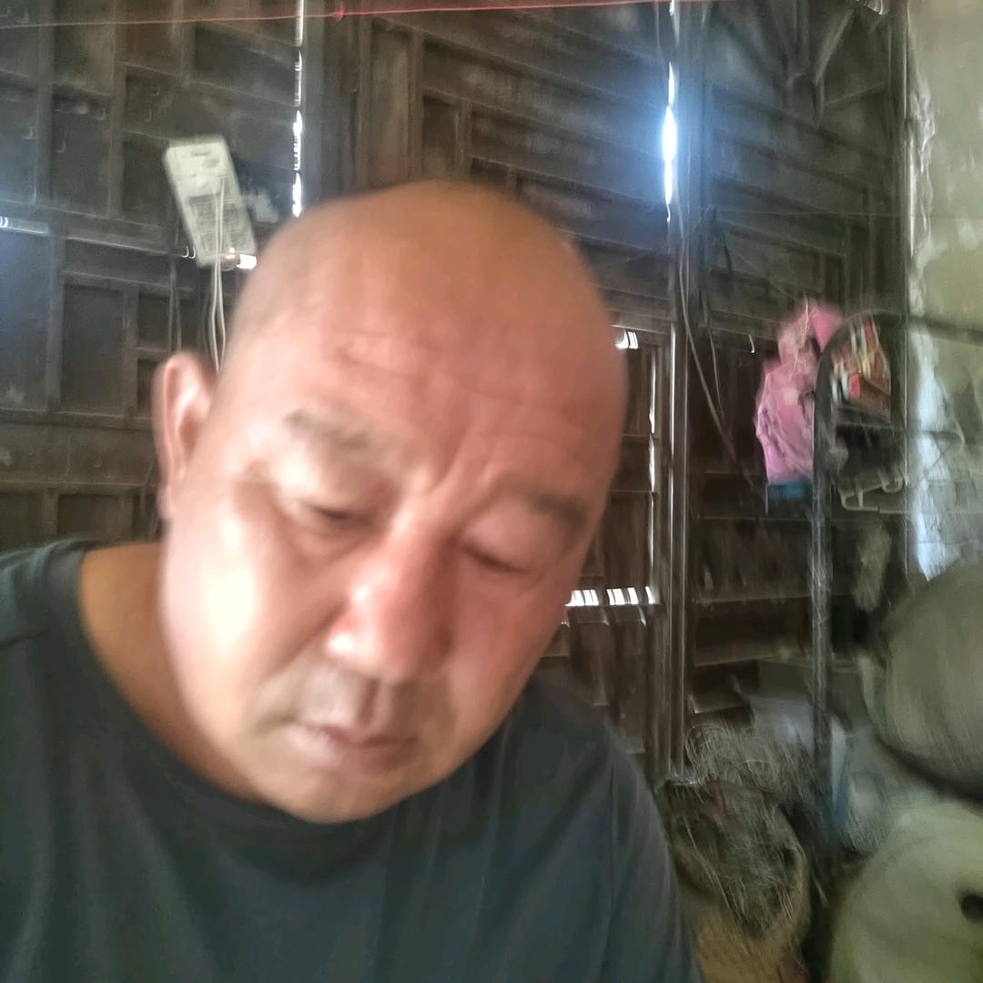 马树友