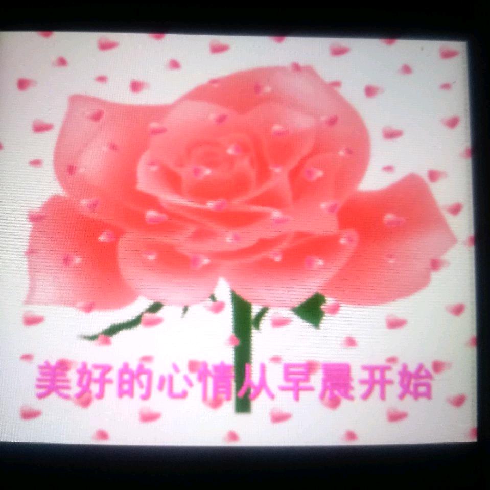 骄阳似火（拒绝私聊）