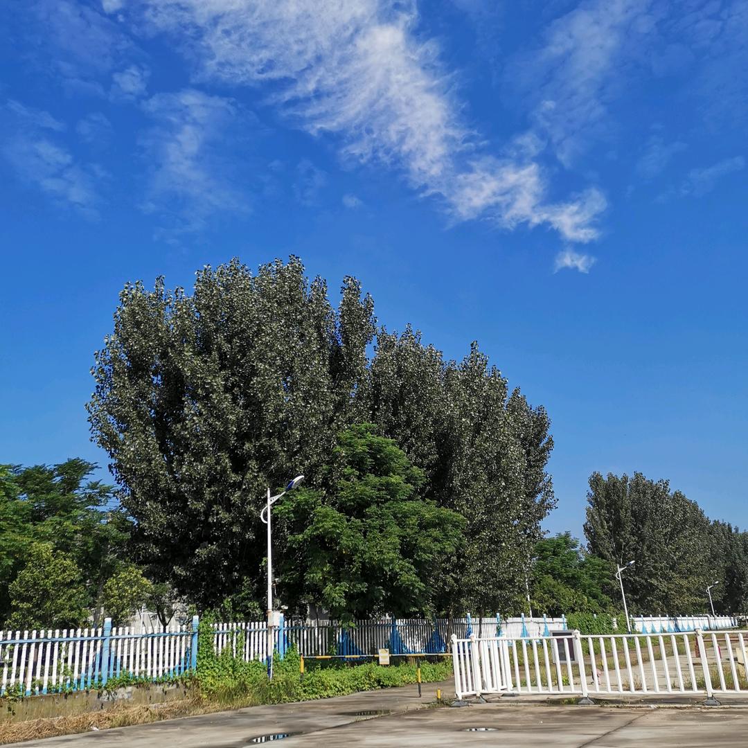 高山流水