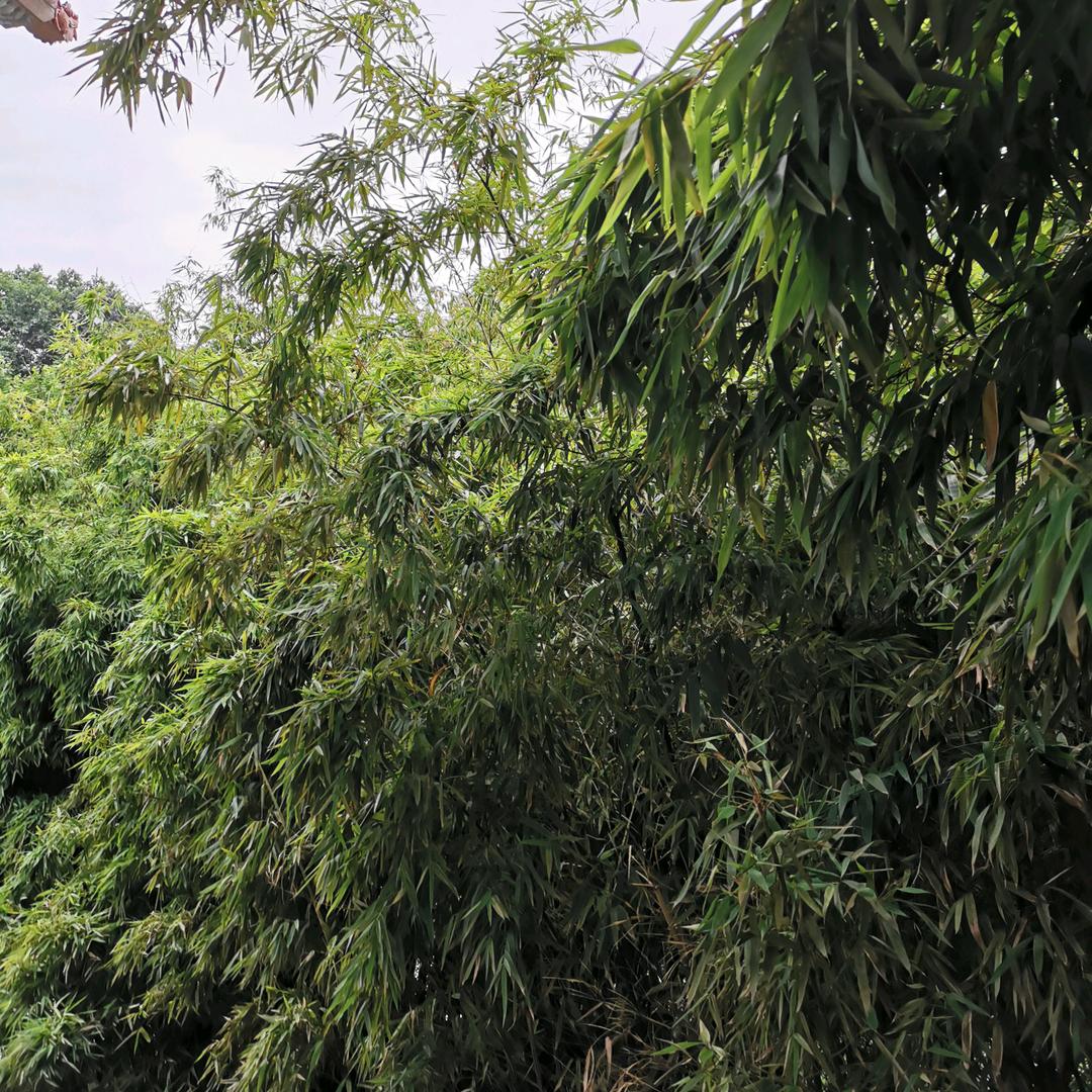 人生短暂！笑口常开！