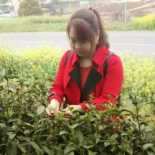 家是温柔的港湾