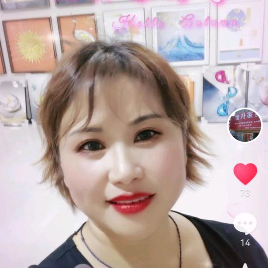 新蔡孙召金升家具